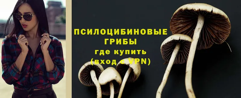 OMG зеркало  даркнет сайт  Кондрово  Псилоцибиновые грибы Magic Shrooms 